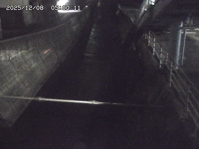 大井手川１2025/12/08 11:30:00