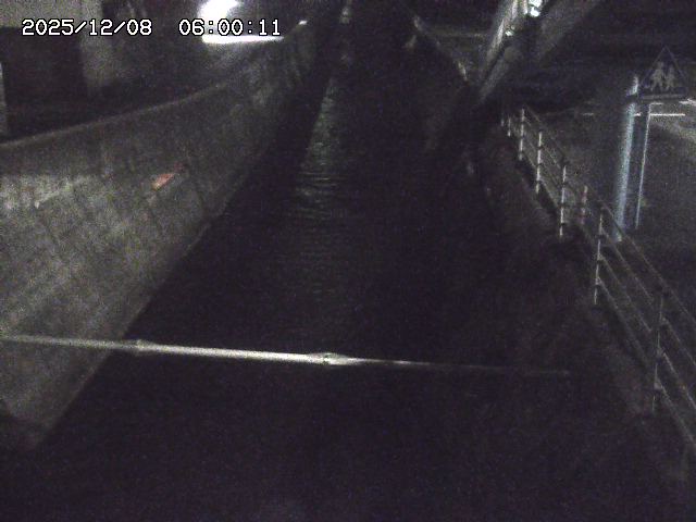 大井手川１2025/12/08 11:30:00