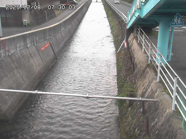 大井手川１2025/12/08 11:30:00