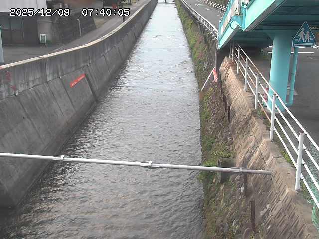 大井手川１2025/12/08 11:30:00