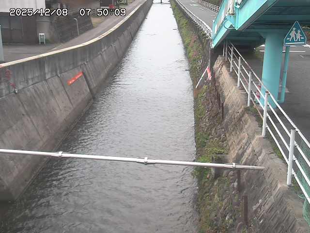 大井手川１2025/12/08 11:30:00