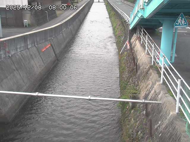 大井手川１2025/12/08 11:30:00