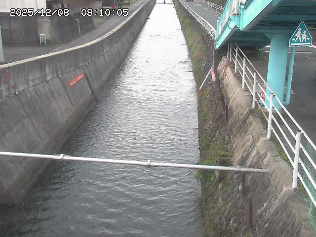 大井手川１2025/12/08 11:30:00