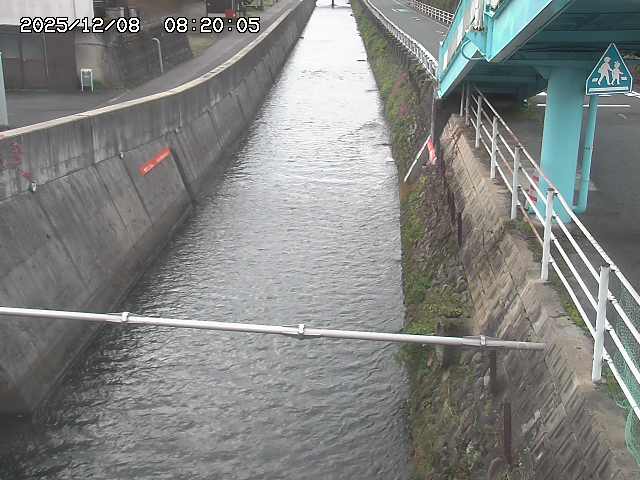 大井手川１2025/12/08 11:30:00