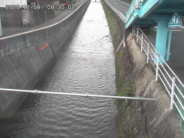 大井手川１2025/12/08 11:30:00