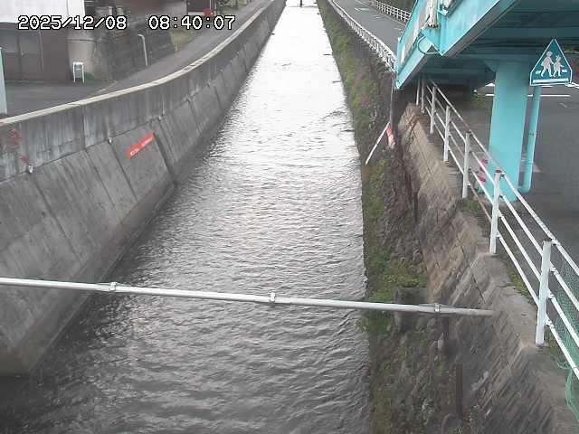 大井手川１2025/12/08 11:30:00