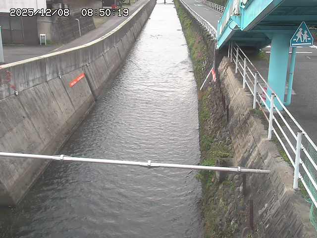 大井手川１2025/12/08 11:30:00