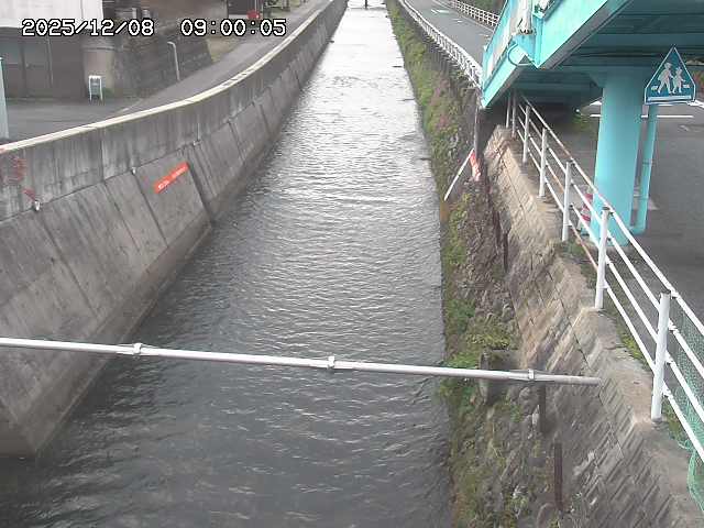 大井手川１2025/12/08 11:30:00