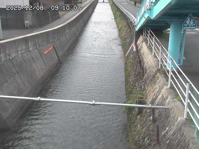 大井手川１2025/12/08 11:30:00