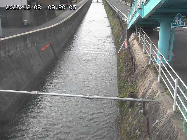 大井手川１2025/12/08 11:30:00