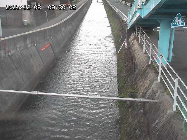 大井手川１2025/12/08 11:30:00