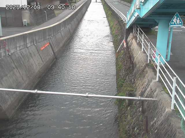 大井手川１2025/12/08 11:30:00