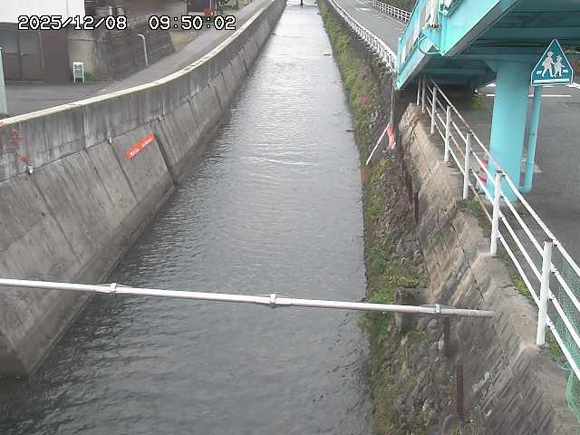 大井手川１2025/12/08 11:30:00