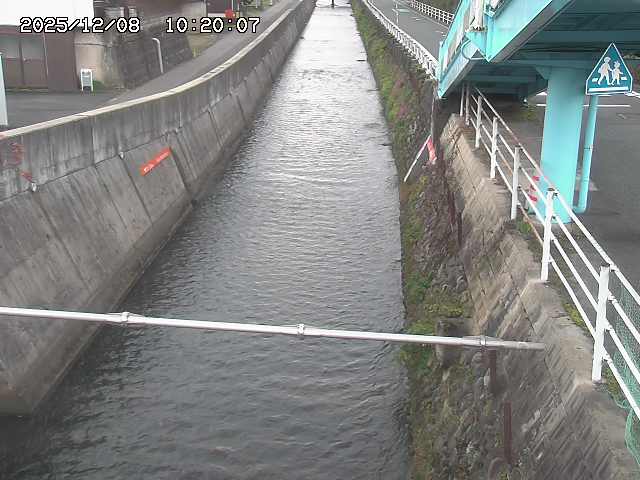 大井手川１2025/12/08 11:30:00