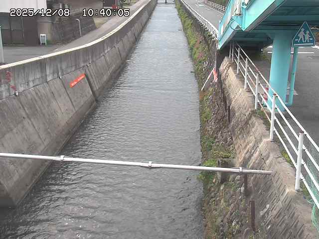 大井手川１2025/12/08 11:30:00