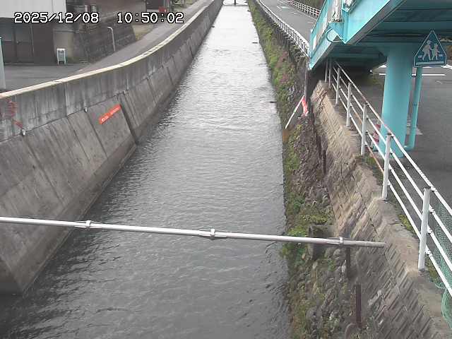 大井手川１2025/12/08 11:30:00