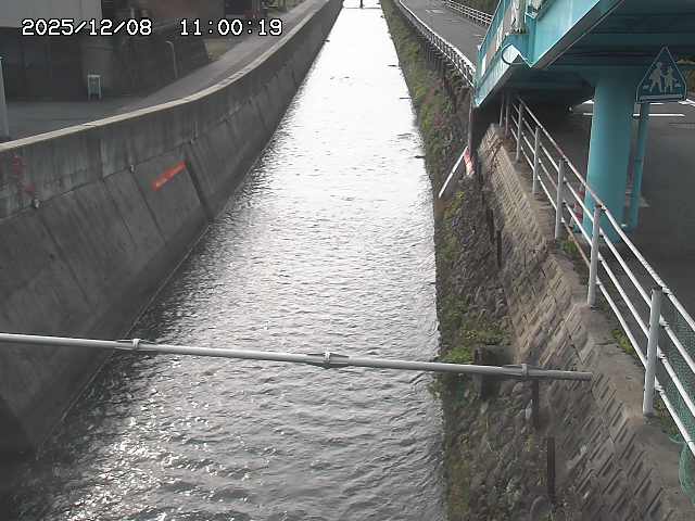 大井手川１2025/12/08 11:30:00