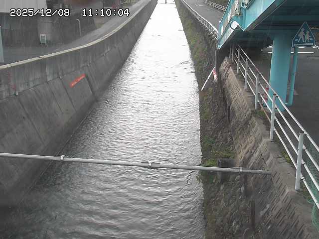 大井手川１2025/12/08 11:30:00