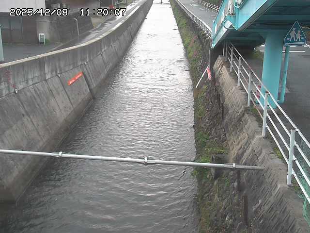 大井手川１2025/12/08 11:30:00