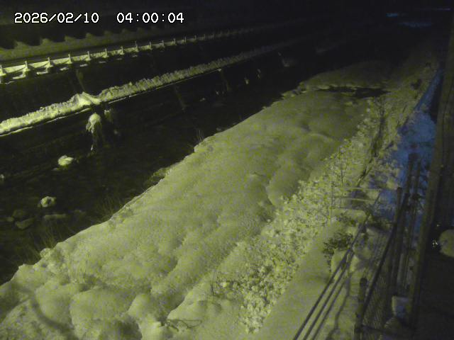 土師川１2026/02/11 3:50:00