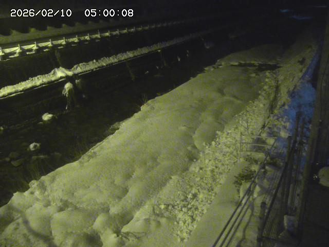 土師川１2026/02/11 3:50:00