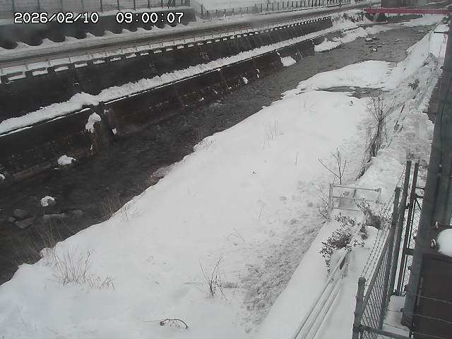 土師川１2026/02/11 3:50:00