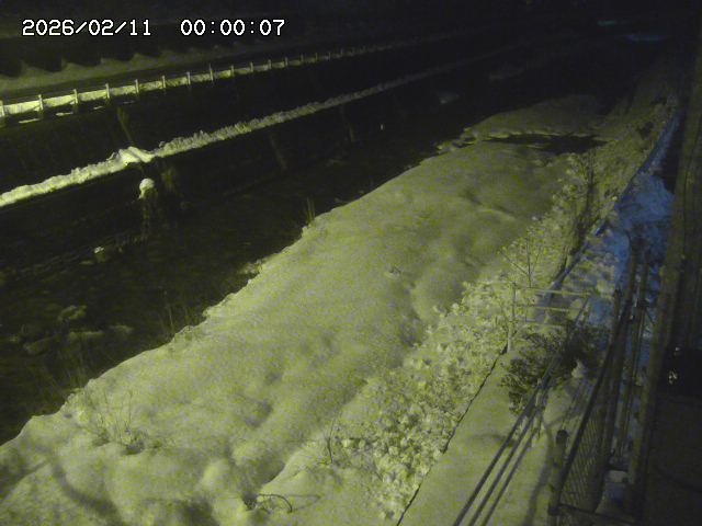 土師川１2026/02/11 3:50:00