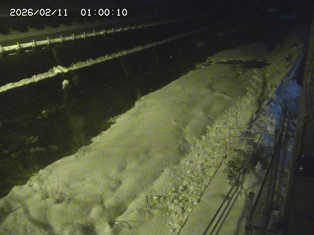 土師川１2026/02/11 3:50:00