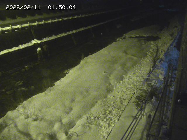 土師川１2026/02/11 3:50:00