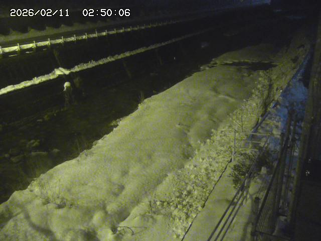 土師川１2026/02/11 3:50:00