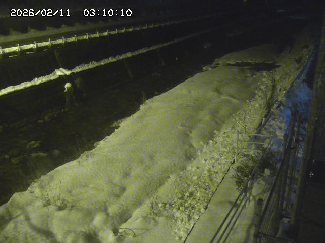 土師川１2026/02/11 3:50:00
