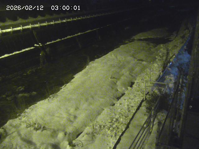 土師川１2026/02/12 18:50:00