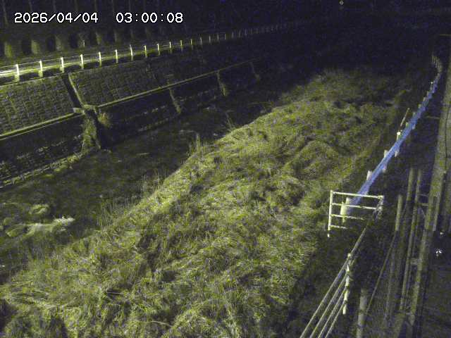 土師川１2026/04/05 3:30:00