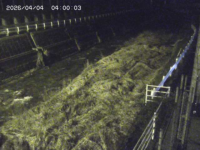 土師川１2026/04/05 3:30:00