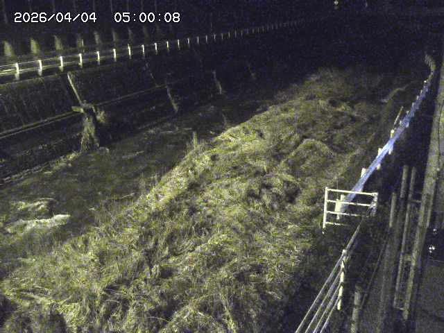 土師川１2026/04/05 3:30:00