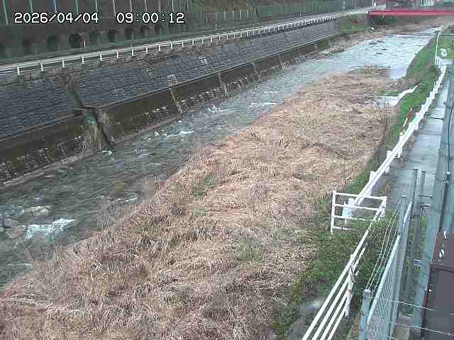 土師川１2026/04/05 3:30:00