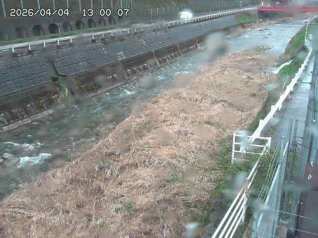 土師川１2026/04/05 3:30:00