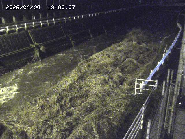 土師川１2026/04/05 3:30:00