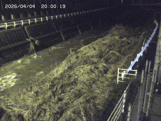 土師川１2026/04/05 3:30:00