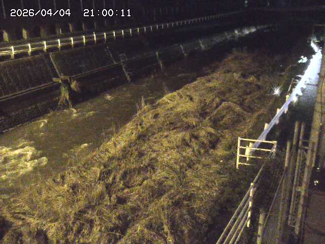 土師川１2026/04/05 3:30:00