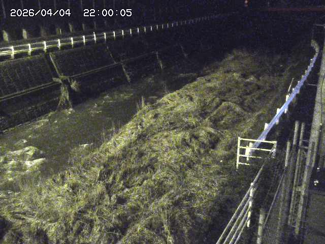 土師川１2026/04/05 3:30:00