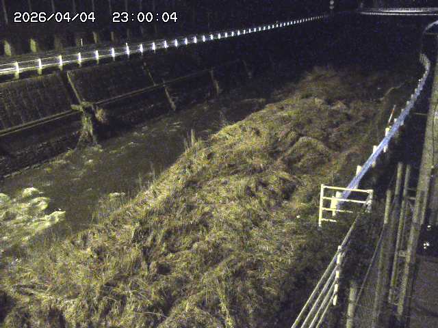 土師川１2026/04/05 3:30:00