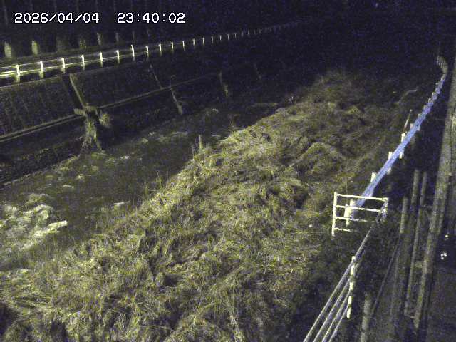 土師川１2026/04/05 3:30:00