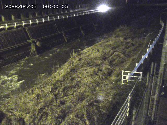 土師川１2026/04/05 3:30:00