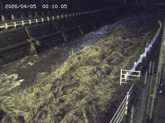 土師川１2026/04/05 3:30:00