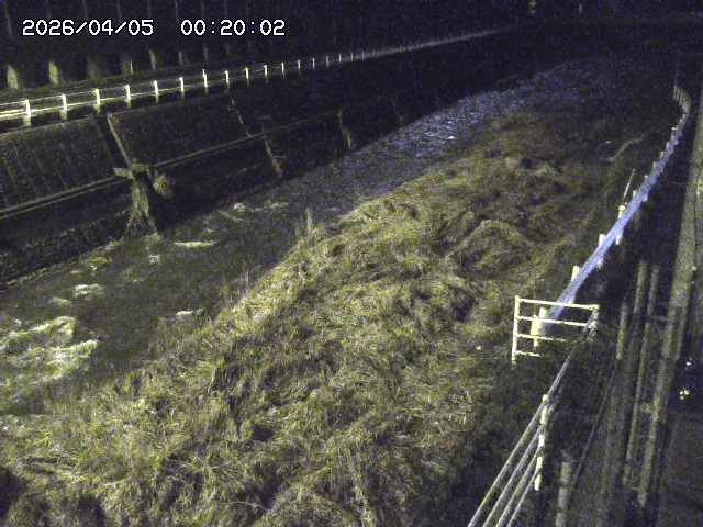 土師川１2026/04/05 3:30:00