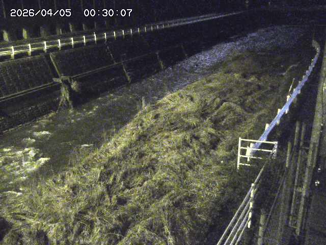 土師川１2026/04/05 3:30:00