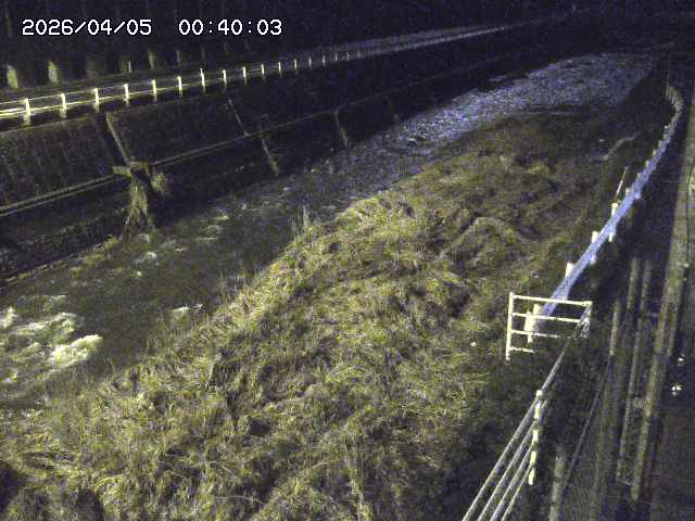 土師川１2026/04/05 3:30:00