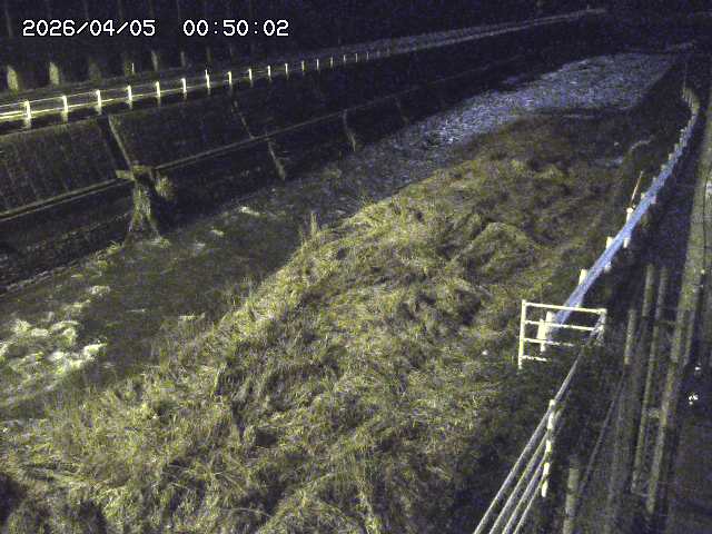 土師川１2026/04/05 3:30:00