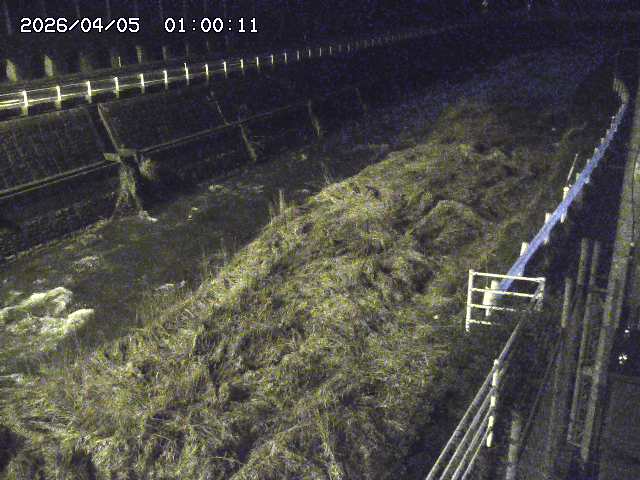 土師川１2026/04/05 3:30:00